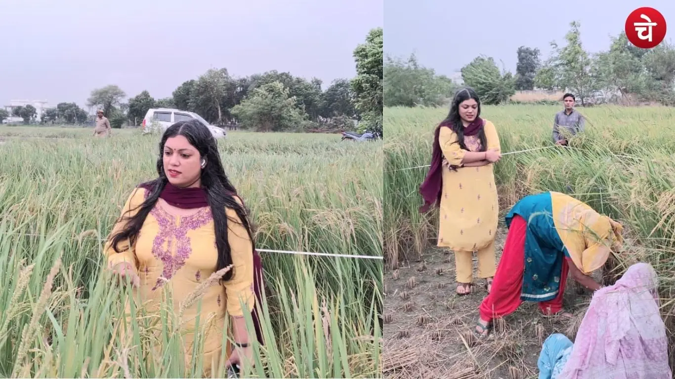 District Magistrate Medha Rupam inspecting paddy crop harvesting in Girdharpur